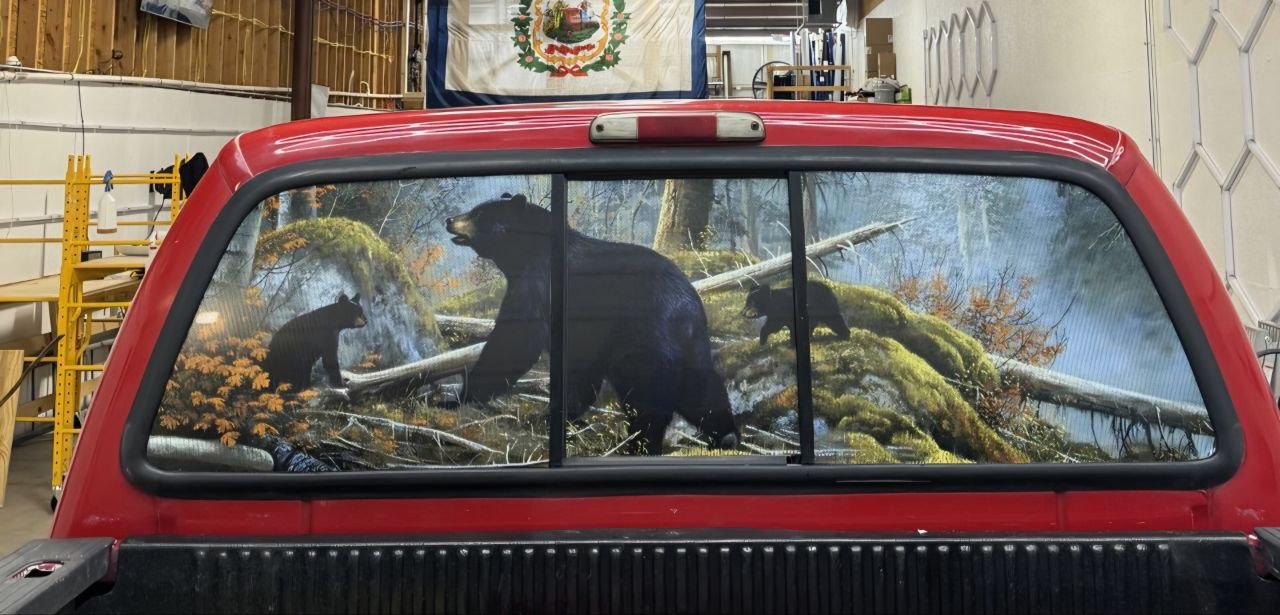 Black Bears Forest Scene